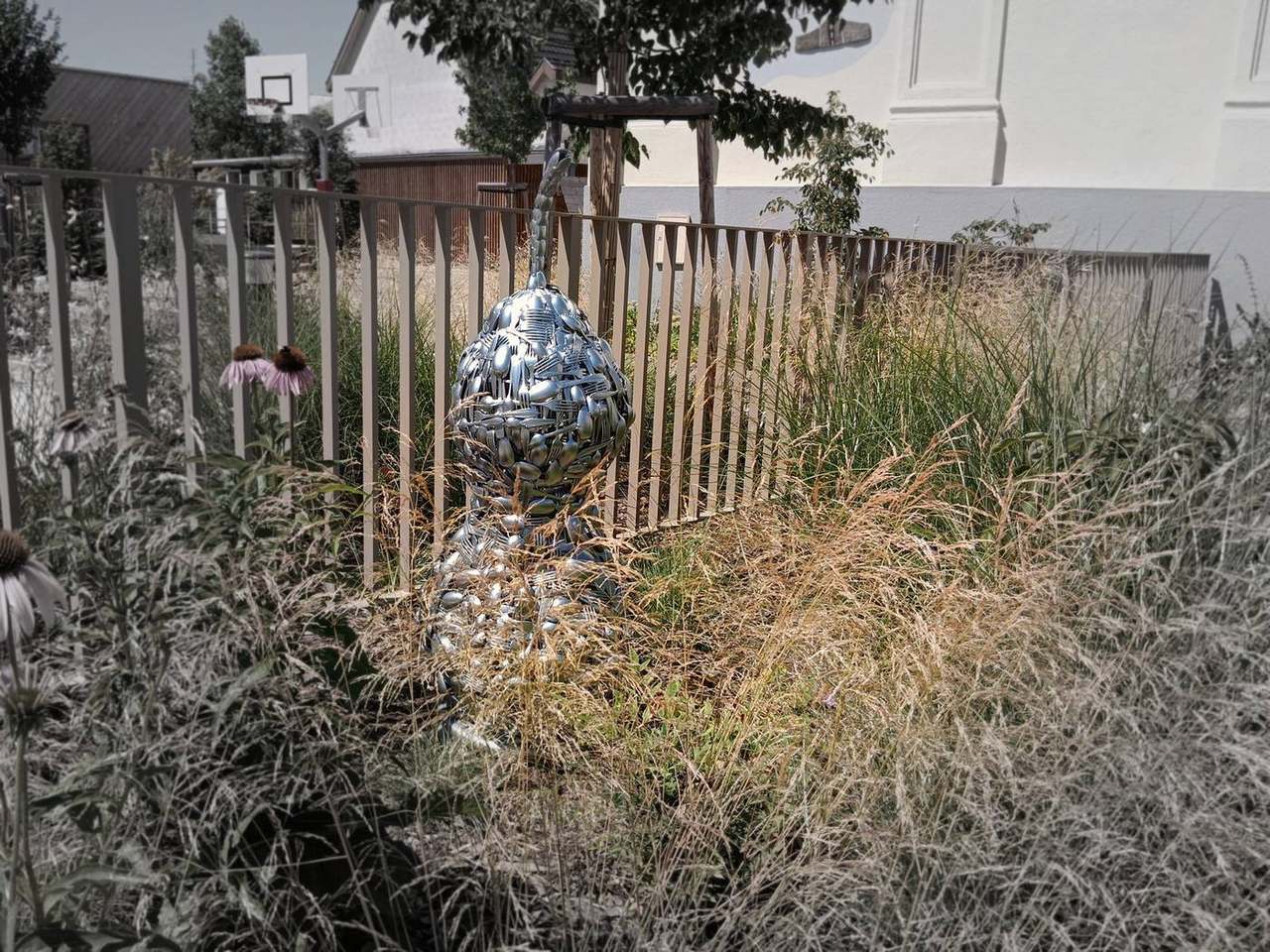 Cucurbitacée