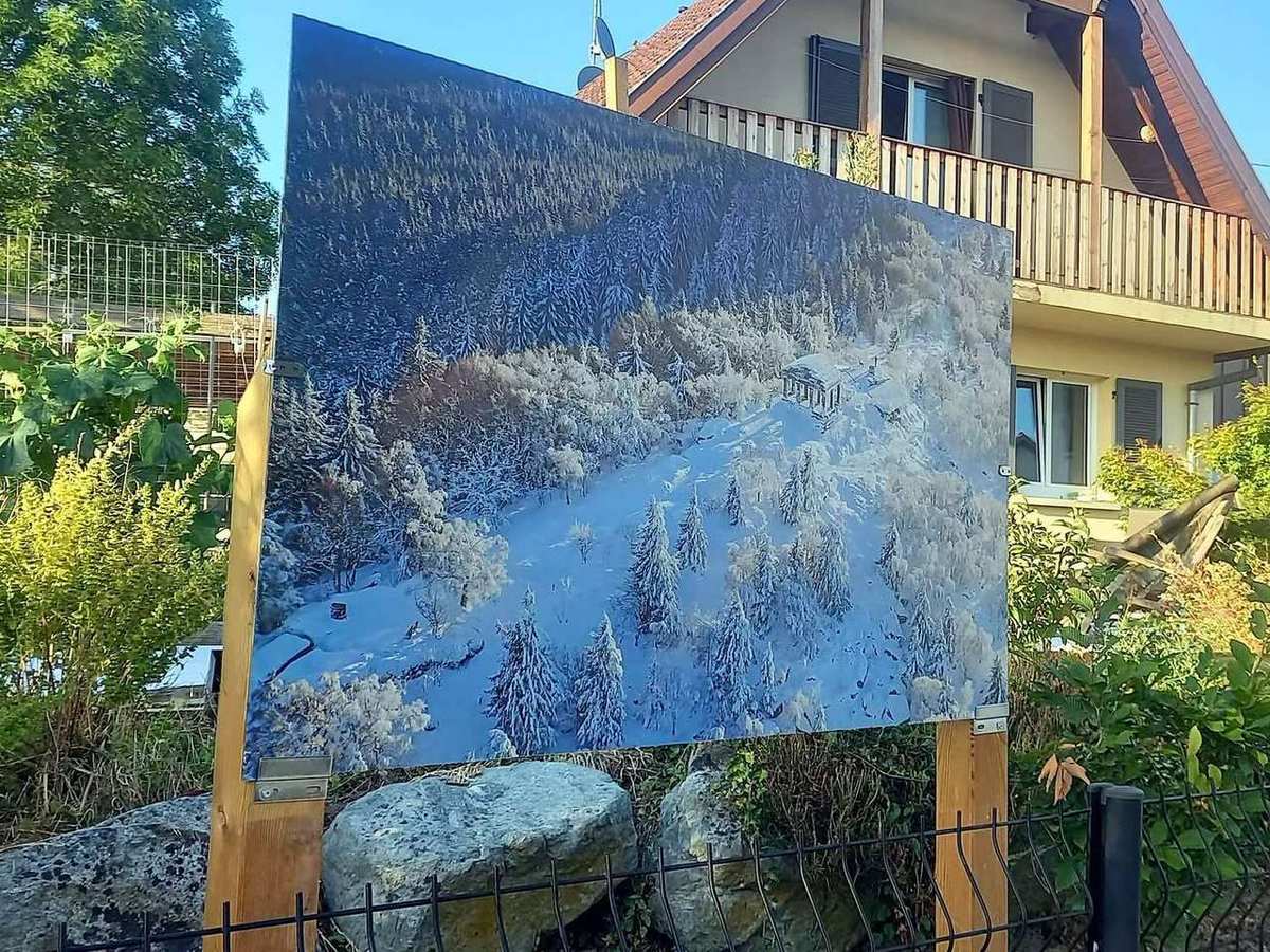 Forêt d’hiver
